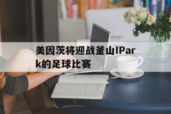 美因茨将迎战釜山IPark的足球比赛